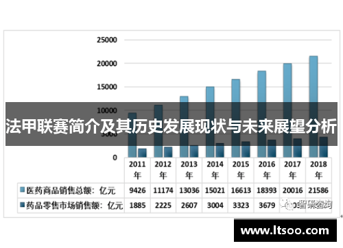 法甲联赛简介及其历史发展现状与未来展望分析